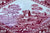 Vintage Pink Red Transferware Spode Copeland Tower Bridge Birds Diamond Pickle / Relish Dish