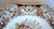 Huge Fruit Harvest Windsor Ware Platter pomegranate grapes etc Johnson Brothers