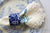 English Transferware Blue Calico Chintz Floral Napkin Ring RARE