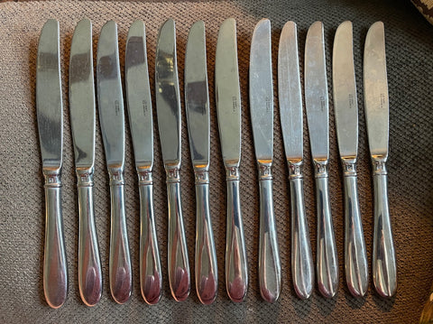 Set of 12 Santā Andrea Oneida Classis European Stainless Steel Dinner Knives