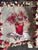 pair of Companion Tassel Fringed Needlepoint Pillow Covers Vase of Red Pink Roses Floral