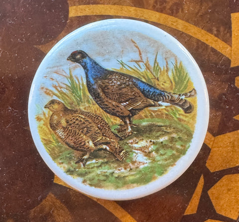 Vintage English Anchovy Paste Pot Lid & Jar Quail Trinket Pill or Ring Box