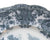 Antique Grazing Cattle Cows Plate Teal Blue Transferware Staffordshire China  Ridgway Staffordshire Beehive Stamp