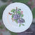 Set of 6 Mix n Match Limoges French Fruit & Butterfly 🦋 Plates