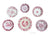 Instant Wall Display - Collection - Red English Transferware Plates 6 Mix n Match