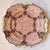circa 1835 Rare Pink Two Color Transferware Plate Etruscan Festoon Ridgway