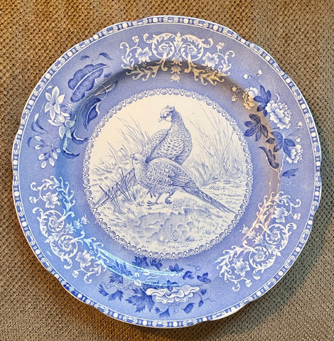 Vintage RARE Spode Pheasants Camilla light Blue Transferware Plate Game Bird Copeland Pheasant No 6