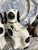 6” Pair of Vintage Black & White Gilt English Staffordshire Spaniel Dog Figurines  - English Country Decor