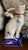Vintage Pair Blue & White Chinoiserie Floral English Transferware Staffordshire Mantle Cats w/ Bows RARE
