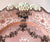 circa 1835 Rare Pink Two Color Transferware Plate Etruscan Festoon Ridgway
