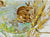 Antique Aesthetic Movement 🐰Rabbits Wheat 🌾 & Orchids Flowers Encrusted Gilded Plate