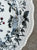 Black Polychrome Transferware Copeland Spode Chrysanthemum Aster Plate
