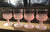 4 light Pink Frosted Kings Crown Thumbprint Footed Cordial Wine Glasses