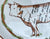 Advertising Black Transferware đ Beefeaters Butcher Beef Cuts Platter Steer Cow