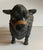 Antique Large Vintage Country French Black Butchers Bull / Cow Figurine