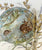 Antique Aesthetic Movement 🐰Rabbits Wheat 🌾 & Orchids Flowers Encrusted Gilded Plate