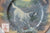 Royal Doulton Plate Hunting Scene English Setter Springer Spaniel Staffordshire