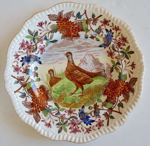 VINTAGE Spode Copeland Brown Polychrome Transferware Plate Game Bird Blackcock Aster Handpainted in Vivid Detail