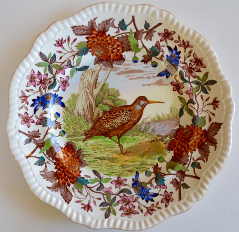 Stunning VINTAGE Spode Copeland Brown Polychrome Transferware Plate Game Bird Woodcock Handpainted in Vivid Detail
