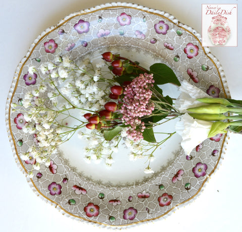Antique Staffordshire Cobbled Brown Transferware Plate Ironstone Circa 1870 Hand Painted & Numbered
