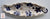 Antique Flow Blue Cherry / Apple Blossom S Hancock Leaf Shaped Platter Tray Circa 1890