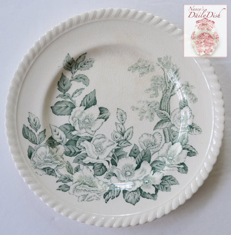 Vintage England Teal Green & White Transferware 8" Plate Apple Flower Dogwood Blossoms