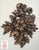 Architectural Autumn Ribbon & Fruit Over Door Picture Topper French Etienne