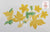 Rare Yellow Transferware Teapot Spode Copeland Lattice and Geraniums Flowers