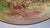 Royal Doulton Plate Hunt Scene English Setters Springer Spaniel in Field Staffordshire