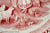 Gingham Check & Farmhouse Scenery Sheep Turkey Cows Chickens Red Transferware Plate