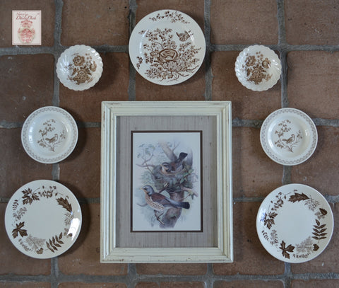 Nature Lovers Instant Wall Decor!  Framed Birds & Nest Print w/ 7 Mix n Match Brown Transferware Bird & Botanical Plates