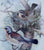 Nature Lovers Instant Wall Decor!  Framed Birds & Nest Print w/ 7 Mix n Match Brown Transferware Bird & Botanical Plates