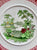 Spode Copeland Merriemount Indented Plate RARE Garden scenery Red & Green BiColor Transferware