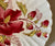 Set of 3 Different Antique 19C Aesthetic Movement Red Transferware Hibiscus Plate by Brown Westhead & Moore