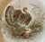 RARE Antique Brown Pink Transferware Staffordshire Thanksgiving Turkey Plate Royal Cauldon