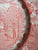 Pink Red Transferware Plate English Coaching Scenes Dogs Flowers