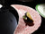 Red Transerware Crescent Shaped Bone Dish Tonquin Royal Staffordshire - Caviar Taco Dish at Rose.Rabbit.Lie