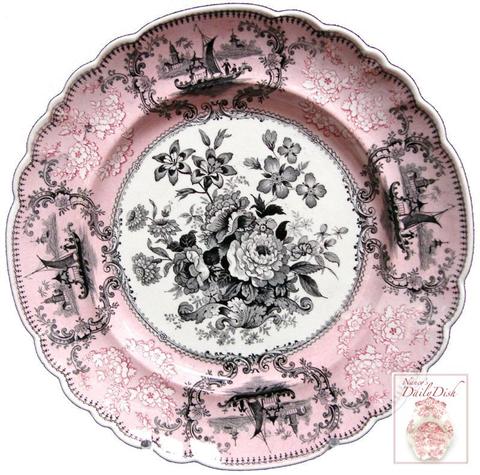 She can really dish it out:  Nancy's Daily Dish