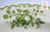 English Green Transferware Basket of Fruits & Foliage Relish or Gravy Tray