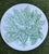 🥦🥬🫑🥒🫛Set of 6 Different Vintage Bavarian Green Vegetable Plates