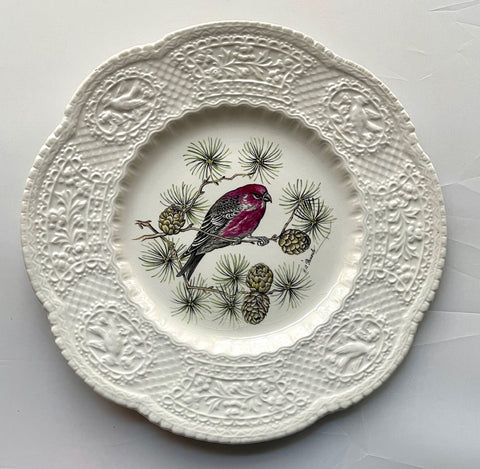Antique Artist Signed Pinecones & Pine Grosbeak 🐦 Bird Plate Relief Border