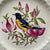 Antique Artist Signed Bird Baltimore Oriole Plate Relief Border