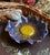 Hand Painted Bird on Blue Flower Majolica Soap Dish / Candy Bowl