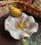 Hand Painted Bird on Off WHITE Flower Majolica Soap Dish / Candy Bowl