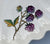 Antique Aesthetic Mvmt Flowering Blackberry Copeland Spode Polychrome Botanical Fluted Plate