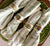 Set of 4 Green Transferware Napkin Rings Masons Paynsley Pansies Fleur De Lis Floral