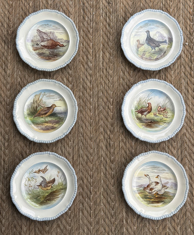 Antique Copeland Spode Game Bird Plates – Rare Pale Blue Gadroon Rim – Set of 6