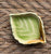 10 Piece Instant Plate wall Green Transferware &  Majolica Leaf Plates