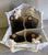NWT Blue & White Heavy Duty Tommy Bahama Canvas 4 Compartment Wine Bottle Tote w/ Thick Rope Handles