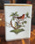vintage Herend Birds & Butterflies Match Box Holder Rothschild